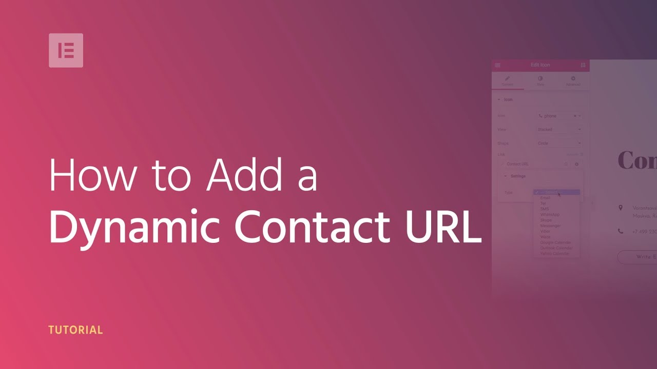 How to Use the Dynamic Contact URL on Your WordPress Website